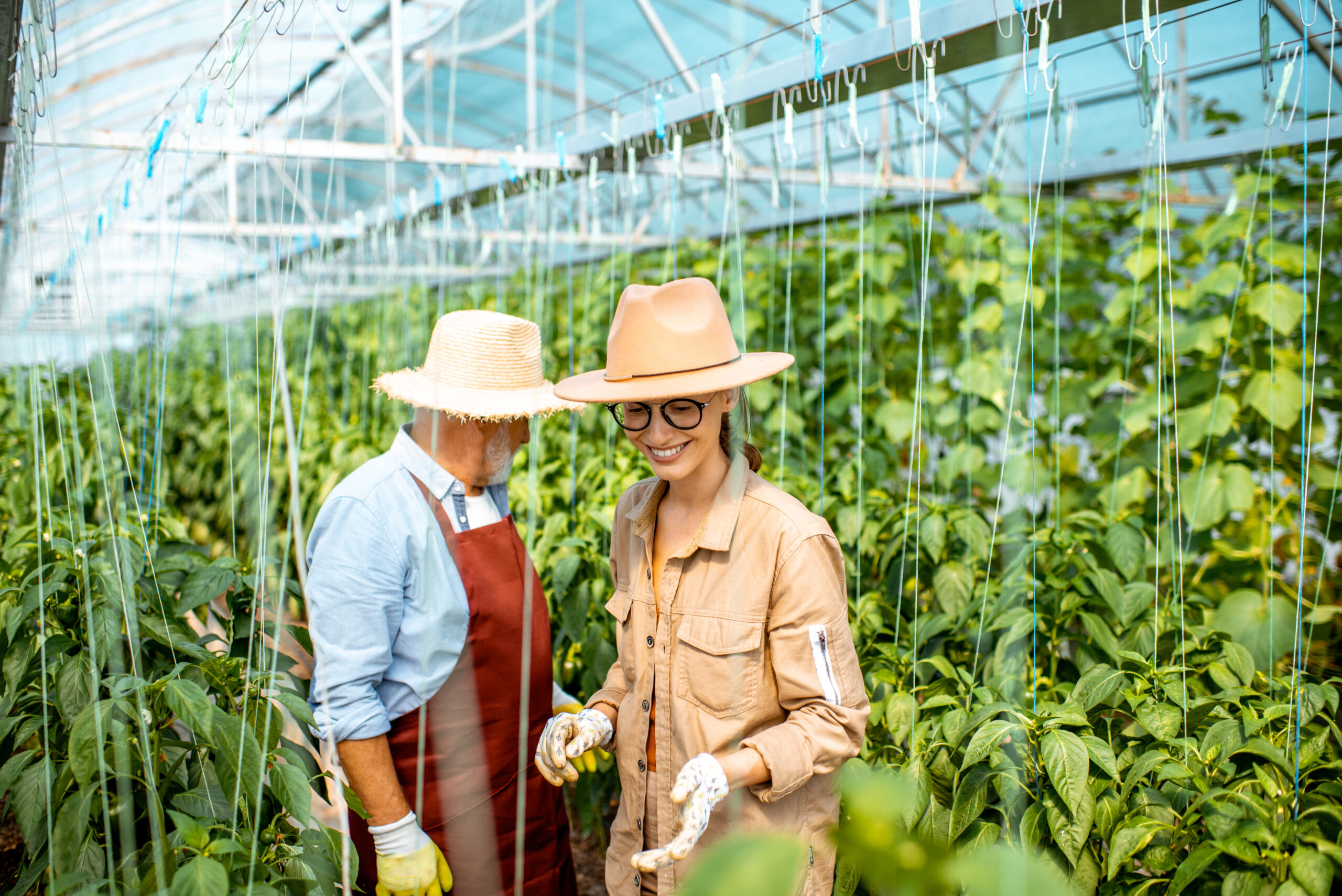 Produção agrícola